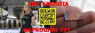мдпв Камышлов
