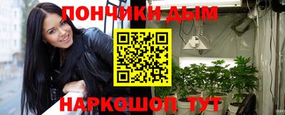 мдпв Камышлов