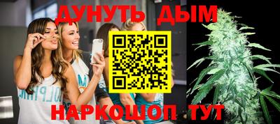сатива Кандалакша