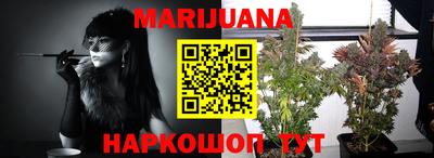 сатива Кандалакша