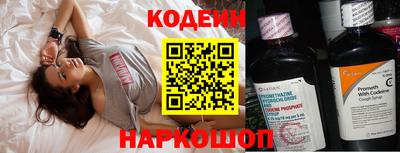 мдпв Камышлов