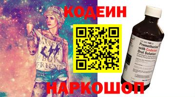 мдпв Камышлов