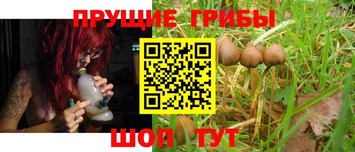 Галлюциногенные грибы Cubensis Красный Сулин